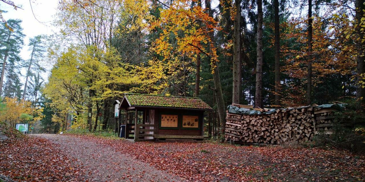 Zimmervermietung Stocker Waidhofen an der Ybbs Exterior foto